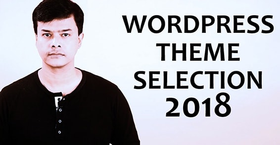 WordPress Theme Selection